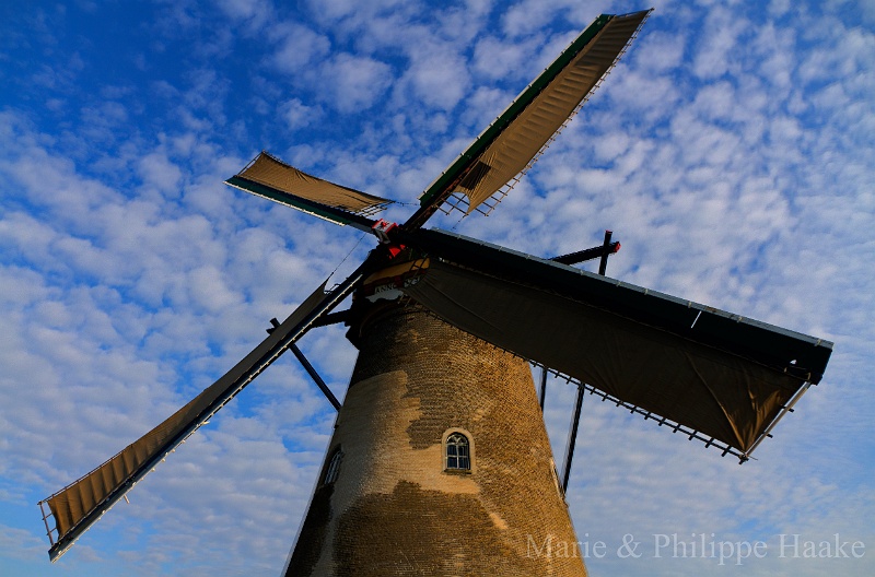 Moulin Kinderdijk 3678_79_80.jpg - Moulin de Kinderdijk, aux Pays-Bas. Ces moulins sont inscrits au patrimoine mondial de l'Unesco (septembre 2011)